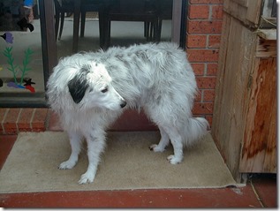 Image03