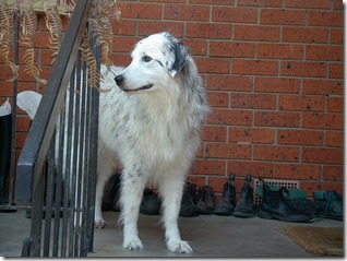Image07