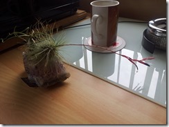 20161204_124706