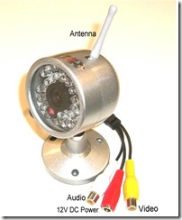 pinecom_2176_8901664