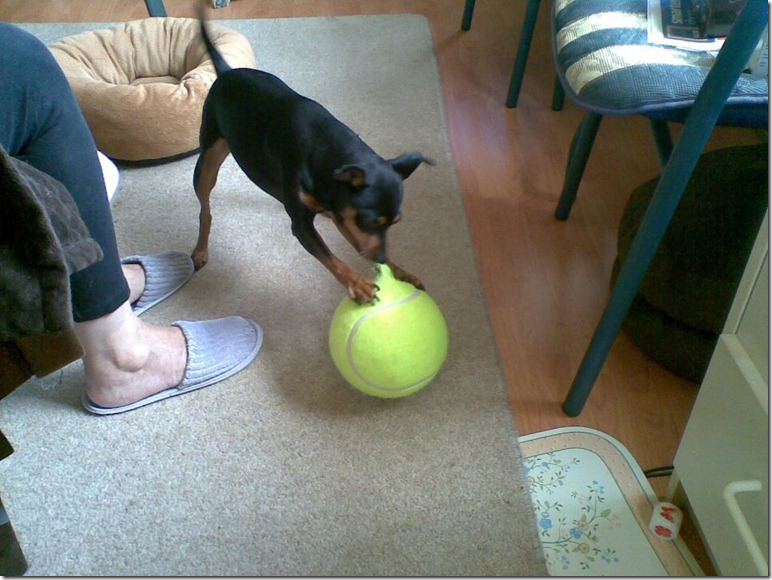 166913_3390153115305_169258213_n