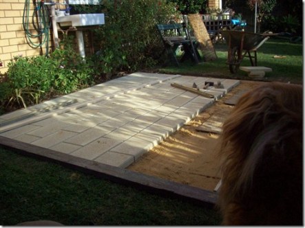 295283_3779505488871_1787074863_n