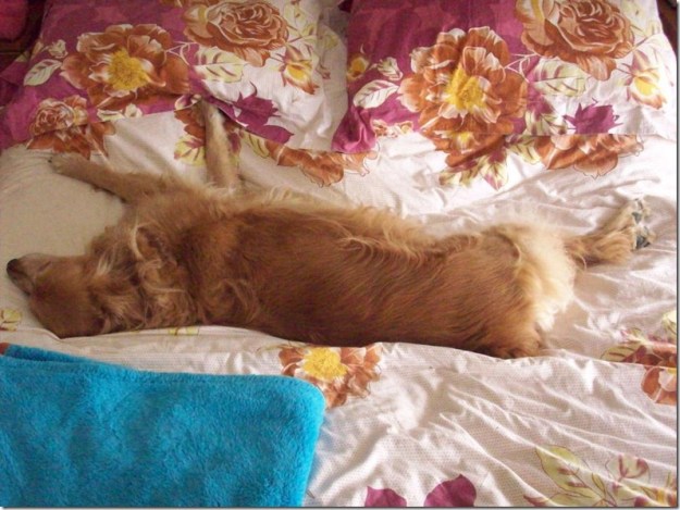 397879_3278876653463_2057066775_n