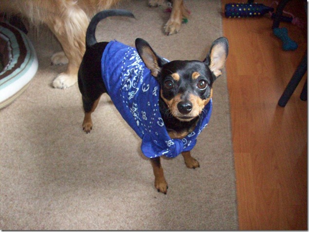 402642_3261835267439_156550616_n