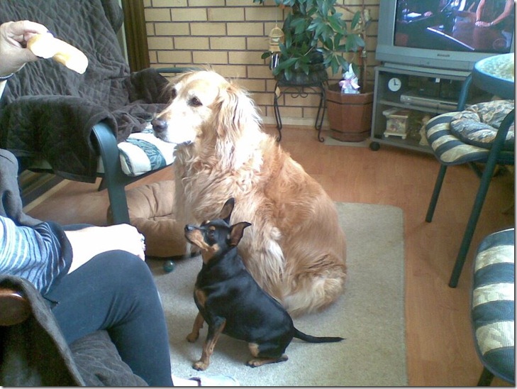 420494_3390142515040_1525015185_n