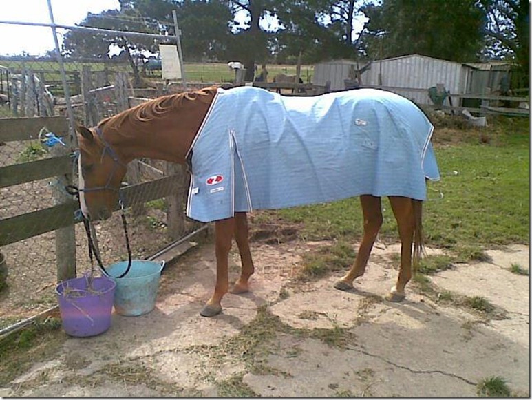 427910_3686918774261_2063366020_n