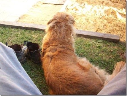 522387_3779506488896_1385018847_n