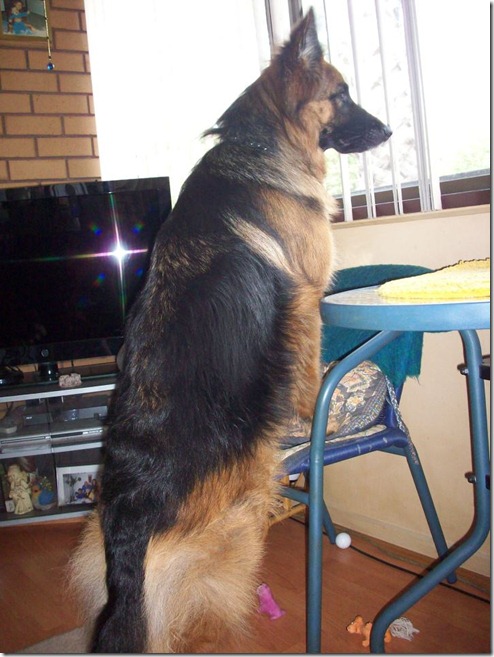 552236_3634692228630_669359820_n