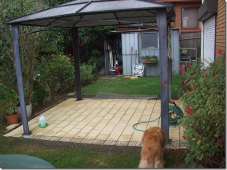 564208_3796387950922_2059738252_n