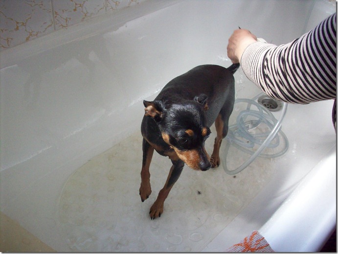 218548_4804699718086_234290395_o