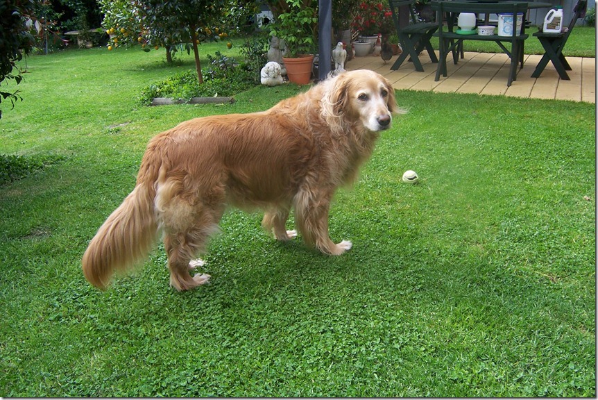 54454_4885155849439_26629747_o