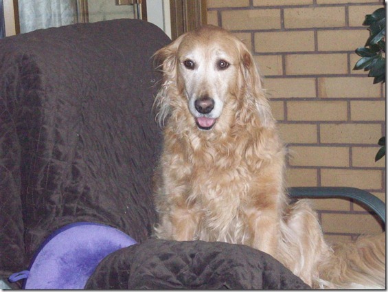 614634_4440738779290_1508544649_o