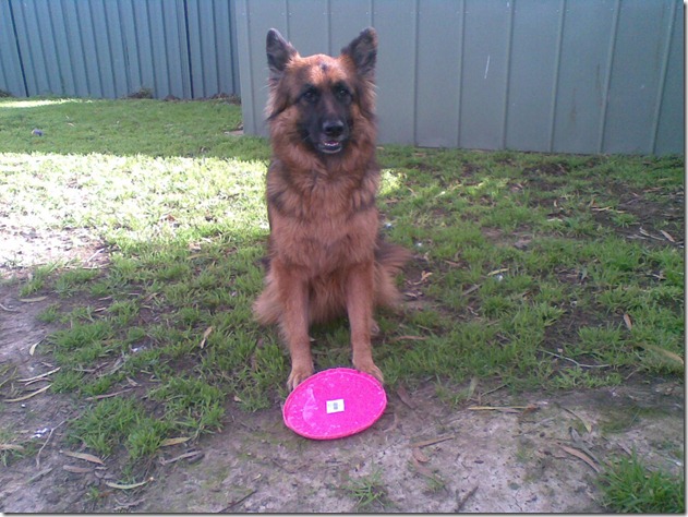 622887_4459075437695_657736344_o