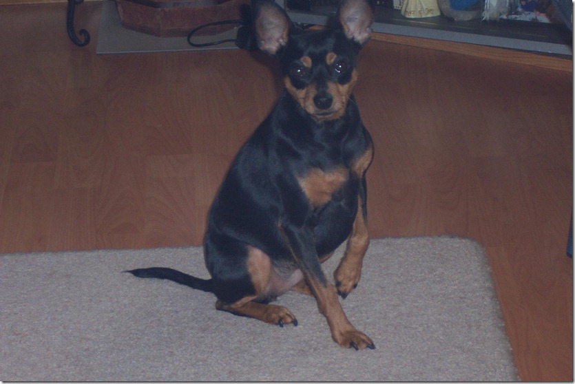 664887_4885121168572_341897188_o