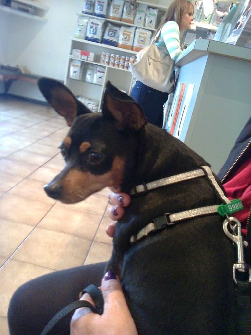 521939_10201986975018657_1750300561_n