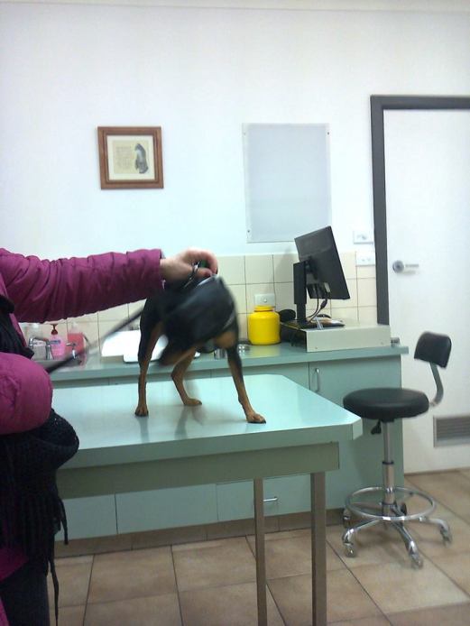 994566_10201986964858403_217129484_n