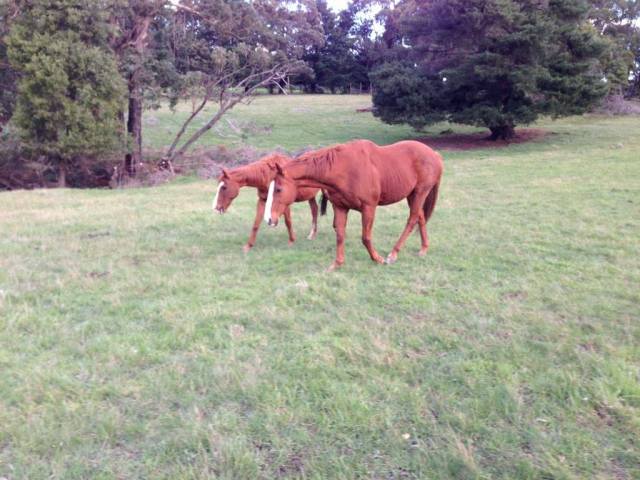 1271503_10202469849650221_20508232_o