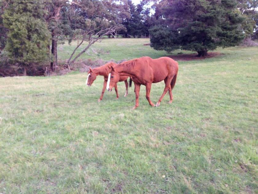 1271503_10202469849650221_20508232_o