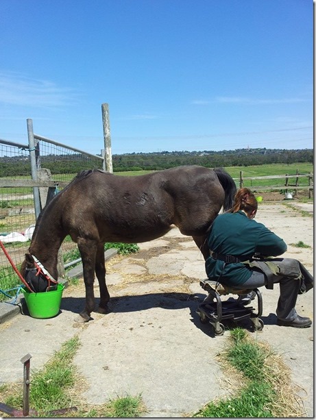 1461706_10202904043544797_652644213_n