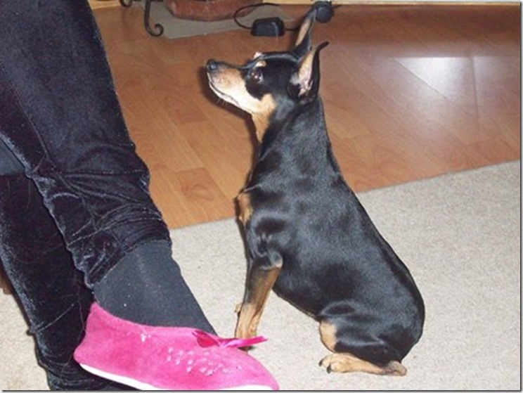 10322633_10204149448599145_9157672015051886419_n