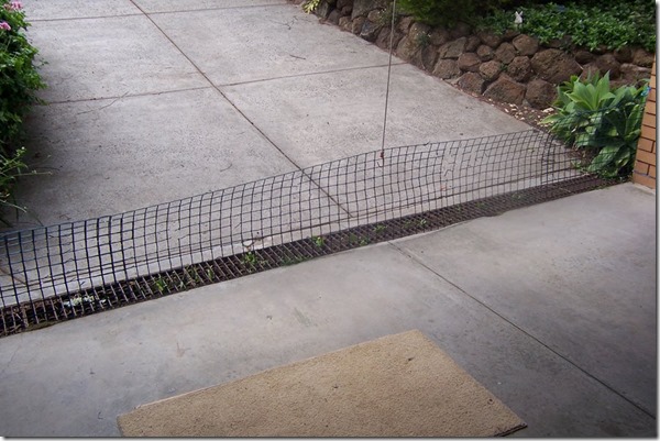 10626730_10205248163186323_561923891285806291_n