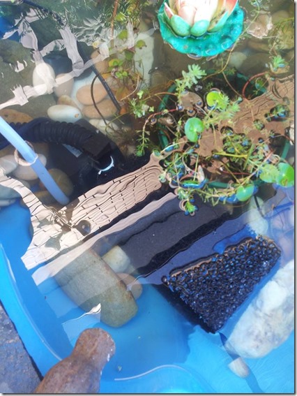 10277661_10206004314849642_53680660989818926_n