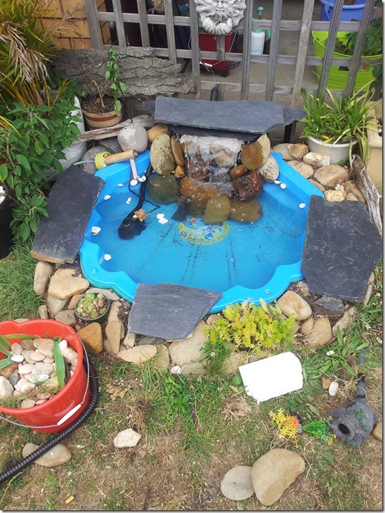 10426549_10205971440027792_8551635383671876079_n