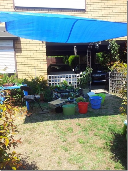 10675729_10206004228247477_6846927966741573842_n