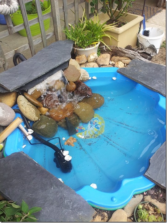 10888489_10205971439667783_1743228146953738287_n