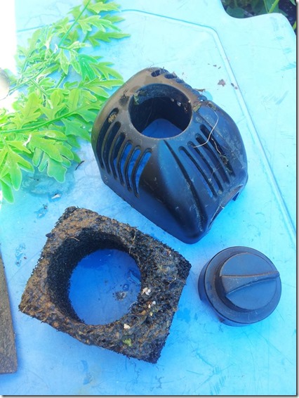 10891472_10206004314529634_4183145593001462746_n