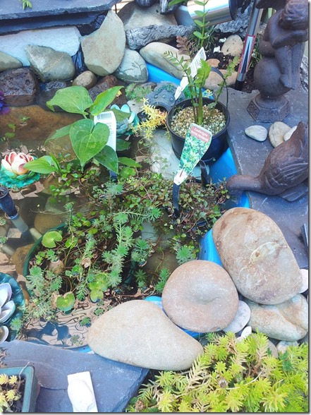 10906072_10206004229007496_8096494194081808755_n