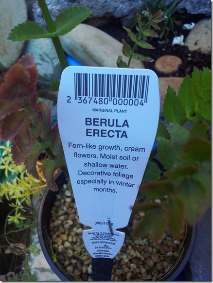 15259_10206004227247452_3045298850135481514_n