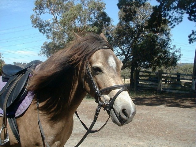 11043424_10206613865928038_4618378198516621888_o1