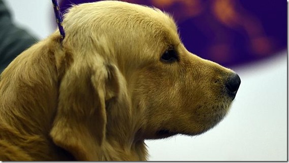 368047-36e787b2-c227-11e4-83e4-6c2c60814a51