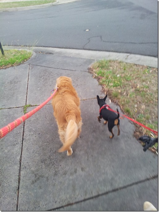 10708639_10206630850112632_2660139697367350250_o