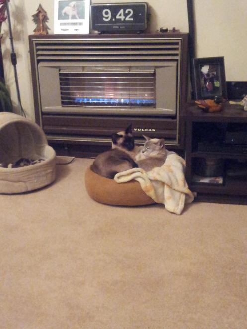 11014746_10207193258612493_7117661833953323949_n (1)