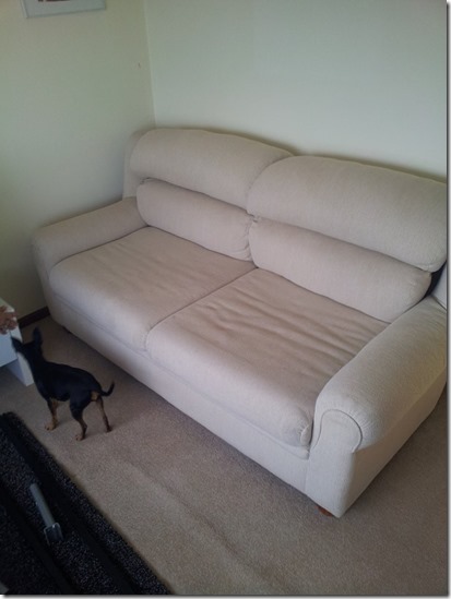 11377313_10207220095803406_5848237864419478265_n