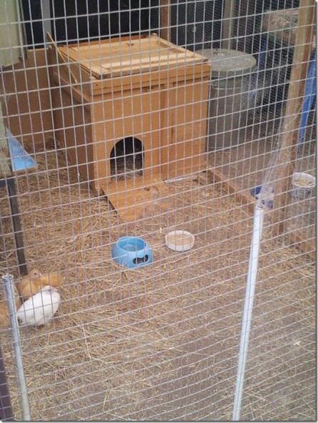 2-12189691_10208282147674039_4605240467655791182_n