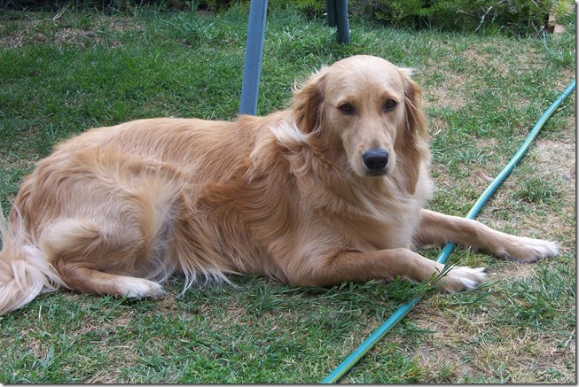 12141053_10209399280921672_7401906764482492324_o