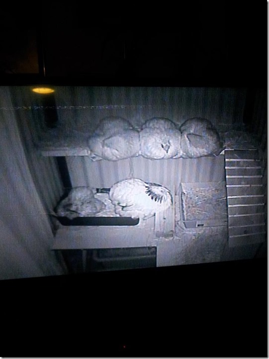 12715325_10208922865731590_3615838968951501626_n