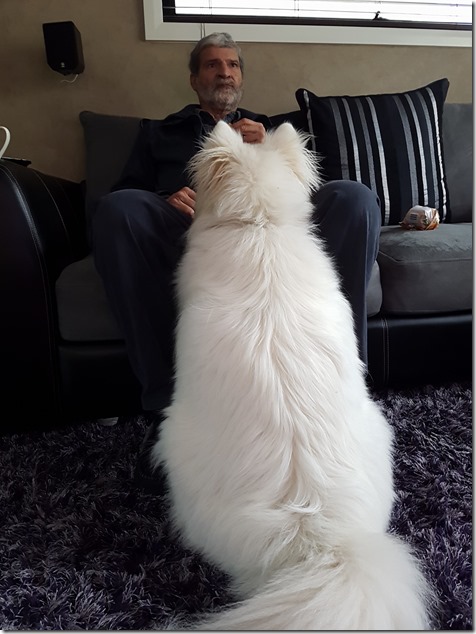 13072653_1714383592177002_6815121357128098842_o