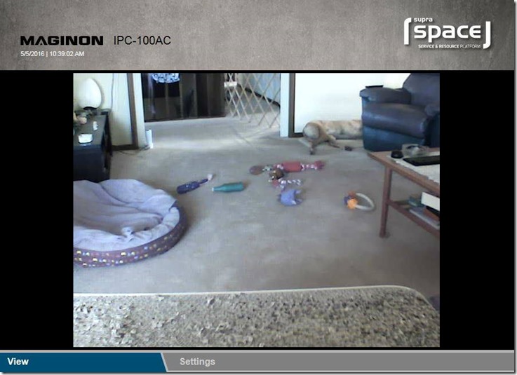 13082739_10209738447160616_1650248974138436917_n