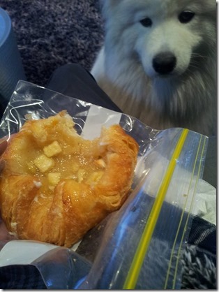 13138806_10209763162738490_4340183306361836802_n