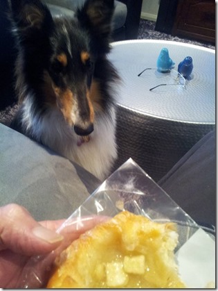 13139174_10209763068776141_746507932219673141_n