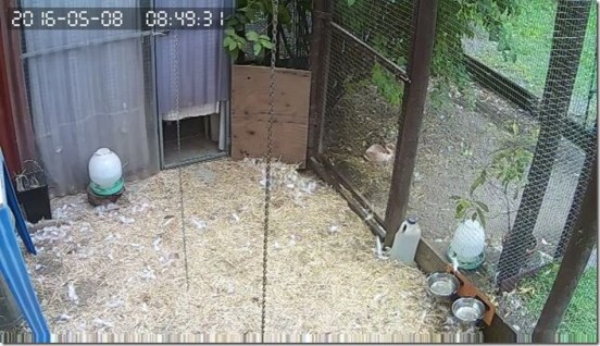 13139276_10209761125567562_3990716712381785443_n