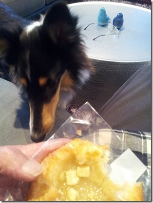 13151390_10209763159138400_4679962336486819949_n