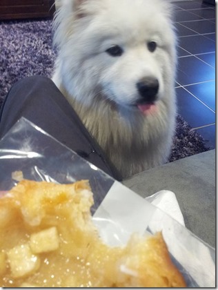 13178848_10209763091176701_4573468551521537413_n