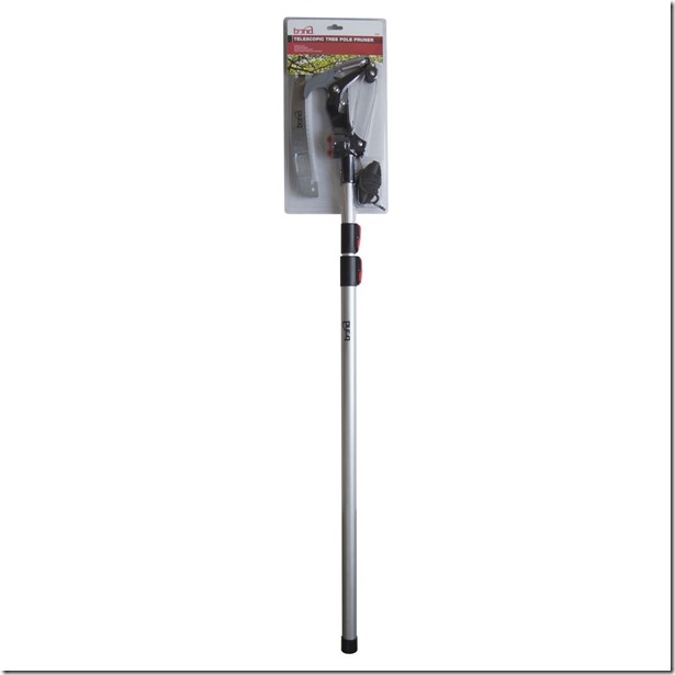 x101809431_0_9999_v1_m56577569831784095_jpg_pagespeed_ic_jQ-yFYzzRg