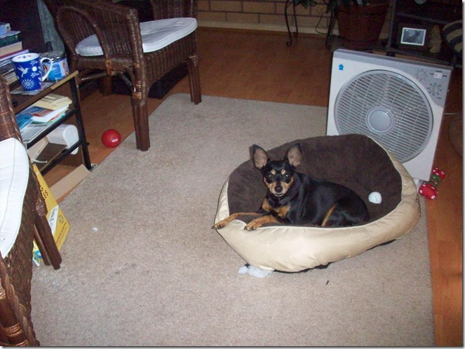 1462648_10203099017619027_693186469_o