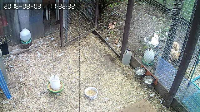 13891921_10210481563698065_4200263513136210257_n